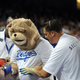 Illustration for article titled The Ballad Of The Fake Dodgers Bear Mascot